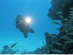 Photo Textures of Underwater World